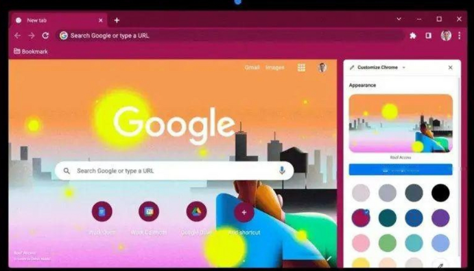 Google Chrome插件权限设置与隐私保护实用指南