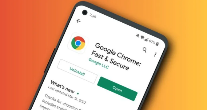 如何在Chrome浏览器下载并设置网页调试选项