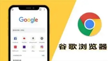 谷歌浏览器历史版本与最新版本切换安装指南