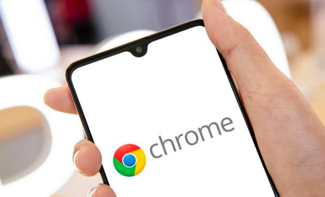 Google浏览器在线安装与离线安装对比分析