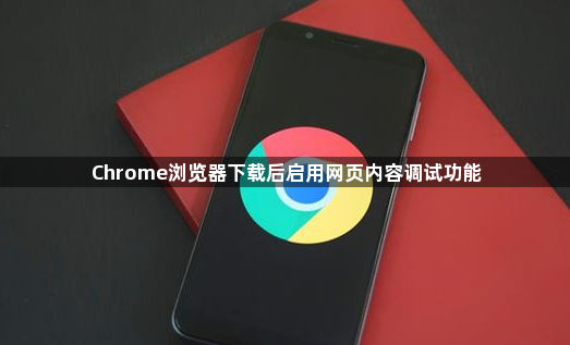 Chrome浏览器下载后启用网页内容调试功能
