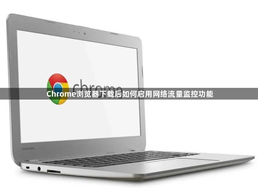 Chrome浏览器下载后如何启用网络流量监控功能