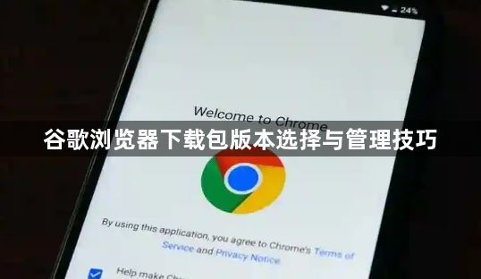 谷歌浏览器下载包版本选择与管理技巧