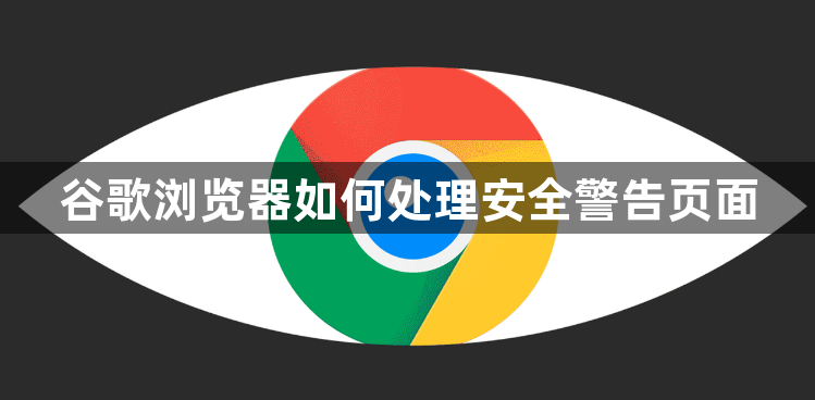 谷歌浏览器如何处理安全警告页面1
