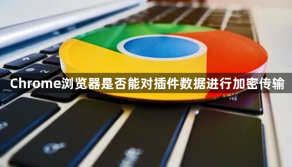 Chrome浏览器是否能对插件数据进行加密传输1
