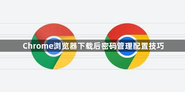 Chrome浏览器下载后密码管理配置技巧1