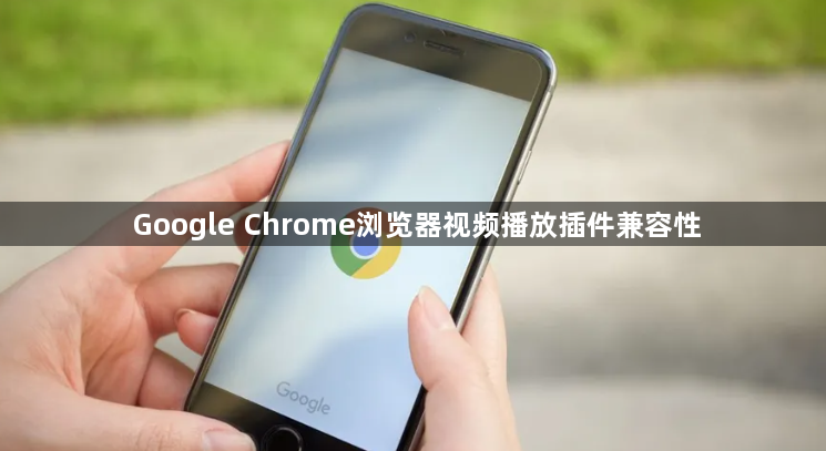 Google Chrome浏览器视频播放插件兼容性1
