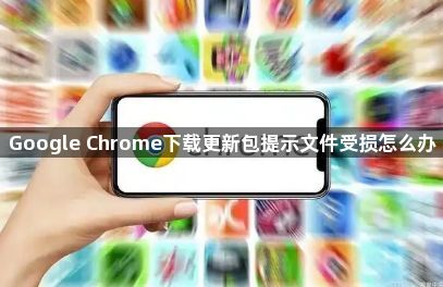 Google Chrome下载更新包提示文件受损怎么办1