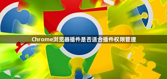 Chrome浏览器插件是否适合插件权限管理1
