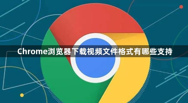 Chrome浏览器下载视频文件格式有哪些支持1
