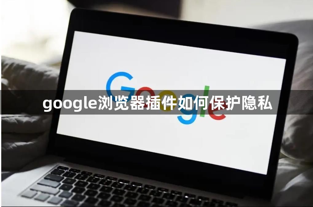 google浏览器插件如何保护隐私1