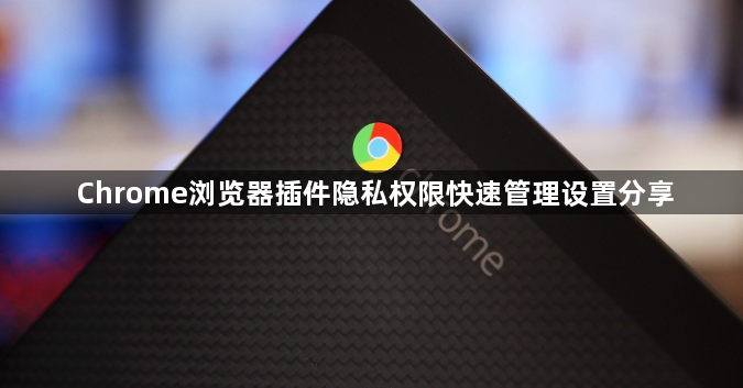 Chrome浏览器插件隐私权限快速管理设置分享1