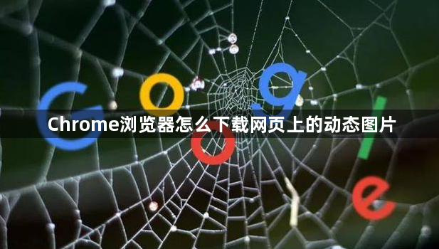Chrome浏览器怎么下载网页上的动态图片1