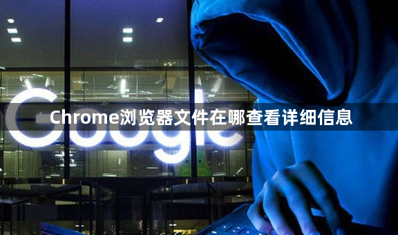 Chrome浏览器文件在哪查看详细信息1