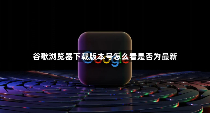 谷歌浏览器下载版本号怎么看是否为最新1