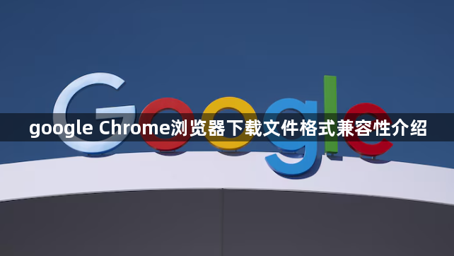 google Chrome浏览器下载文件格式兼容性介绍1