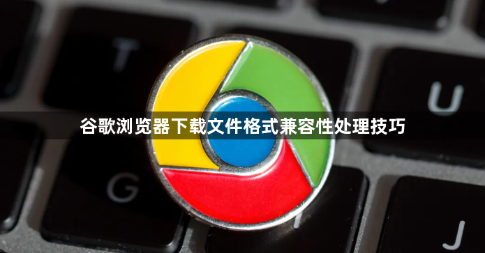 谷歌浏览器下载文件格式兼容性处理技巧1