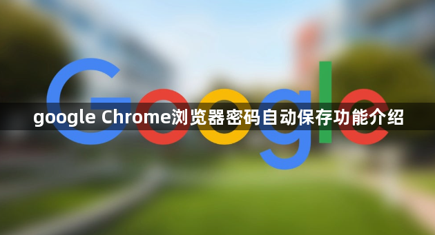 google Chrome浏览器密码自动保存功能介绍1