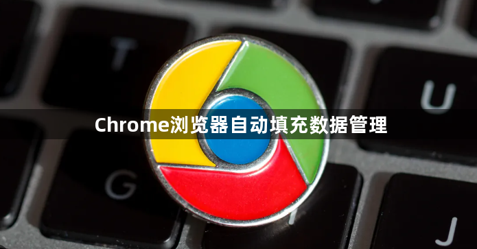 Chrome浏览器自动填充数据管理1
