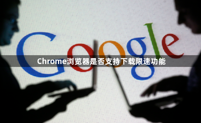 Chrome浏览器是否支持下载限速功能1