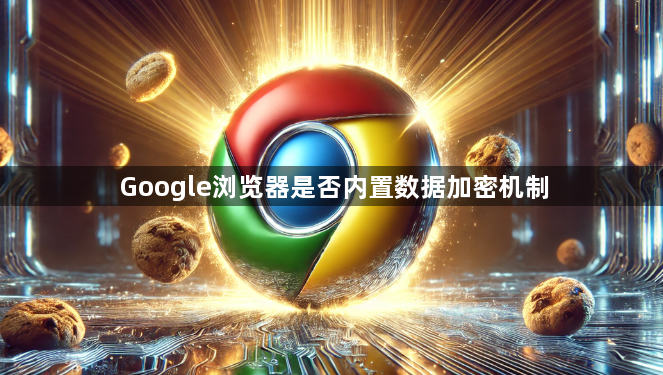 Google浏览器是否内置数据加密机制1