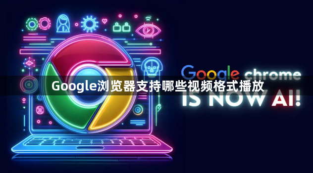 Google浏览器支持哪些视频格式播放1