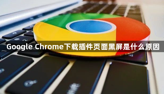Google Chrome下载插件页面黑屏是什么原因1