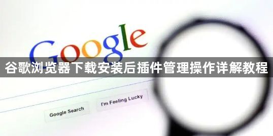 谷歌浏览器下载安装后插件管理操作详解教程1