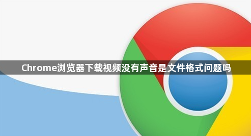 Chrome浏览器下载视频没有声音是文件格式问题吗1