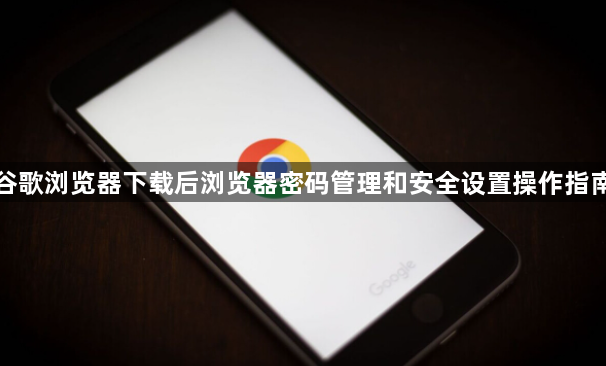 谷歌浏览器下载后浏览器密码管理和安全设置操作指南1