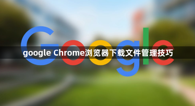 google Chrome浏览器下载文件管理技巧1